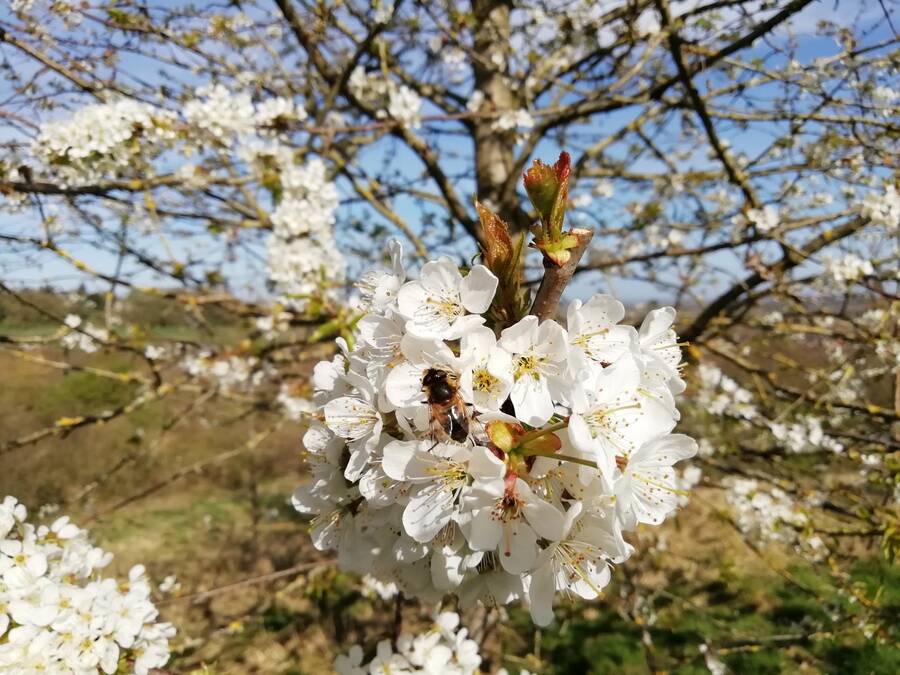 photographer Dave Wells uncategorized  photo