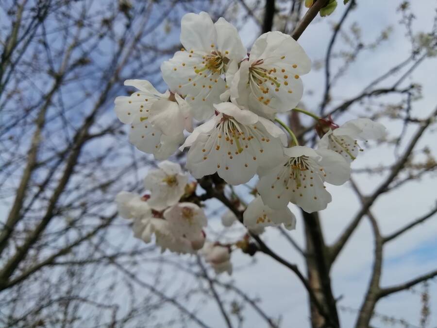 photographer Dave Wells uncategorized  photo