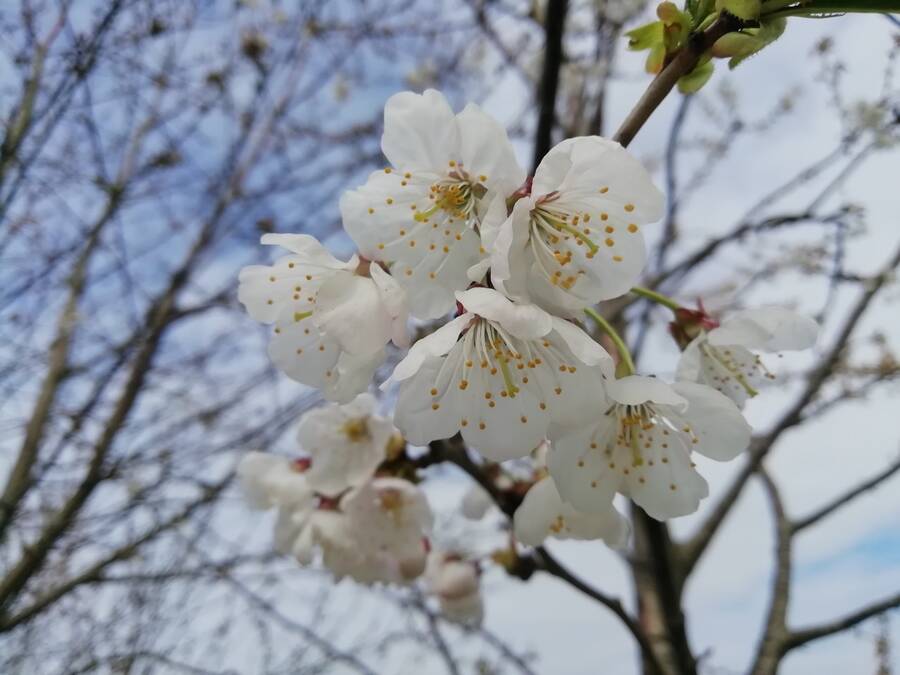 photographer Dave Wells uncategorized  photo