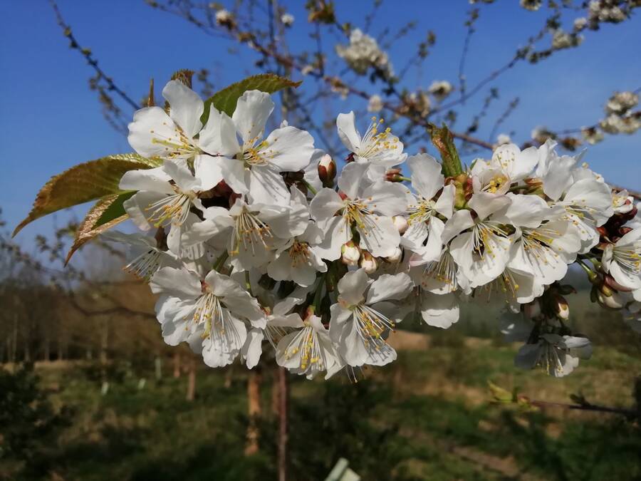 photographer Dave Wells uncategorized  photo