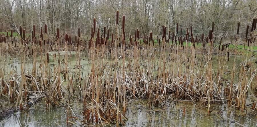 photographer Dave Wells uncategorized  photo