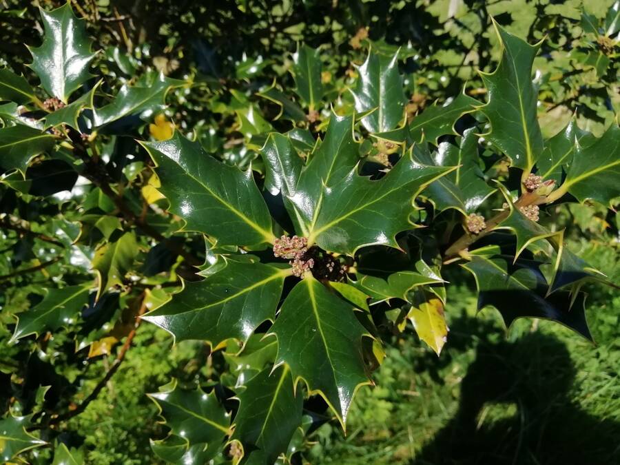 photographer Dave Wells uncategorized  photo