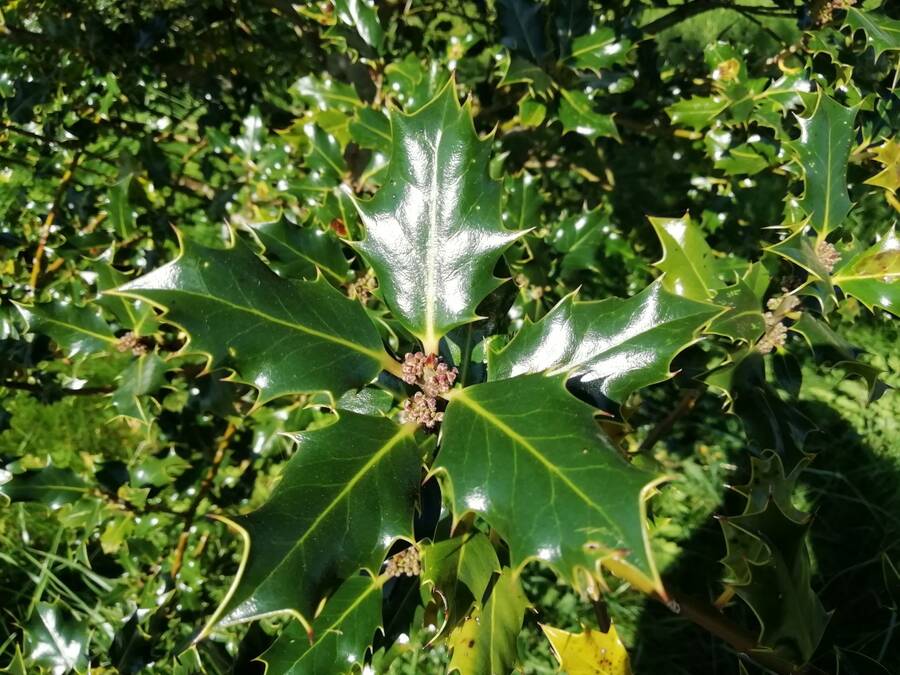 photographer Dave Wells uncategorized  photo