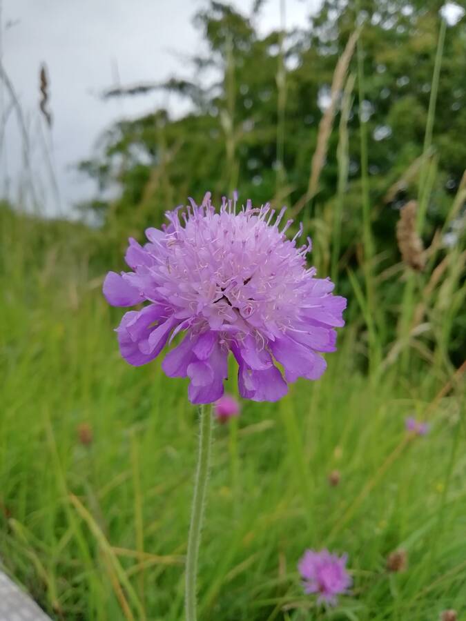 photographer Dave Wells uncategorized  photo