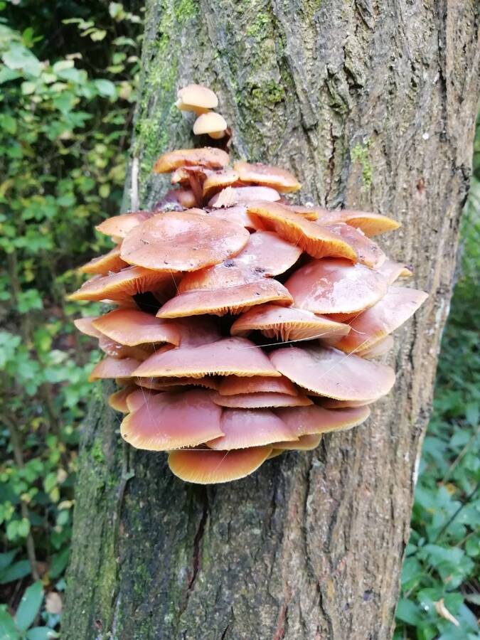 photographer Dave Wells uncategorized  photo