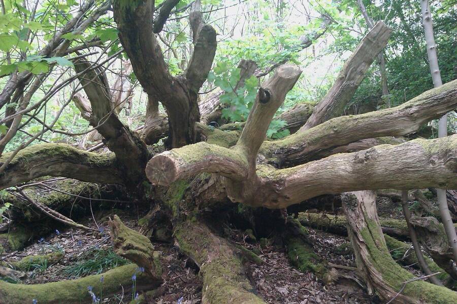 photographer Dave Wells uncategorized  photo