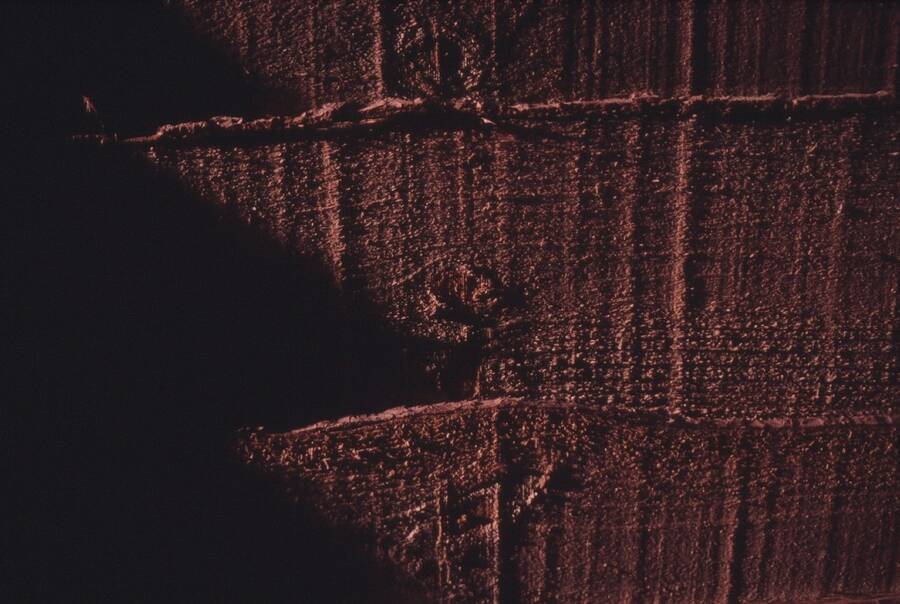 photographer Dave Wells uncategorized  photo