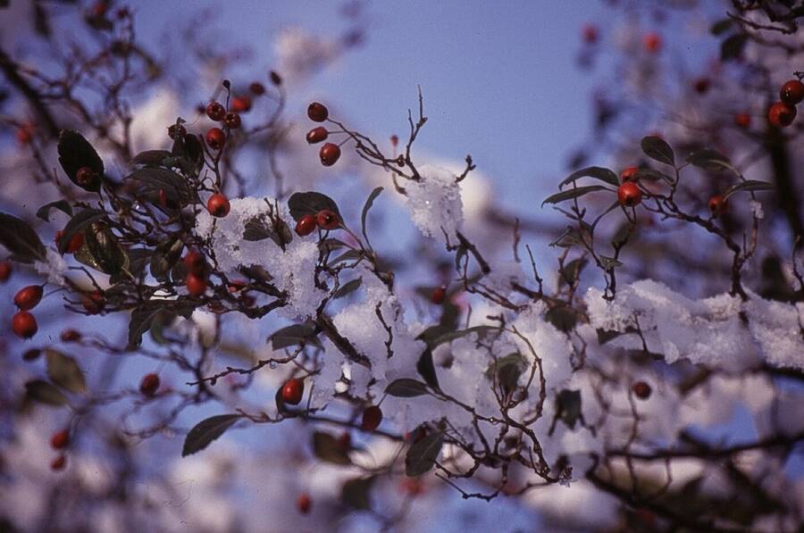 photographer Dave Wells uncategorized  photo