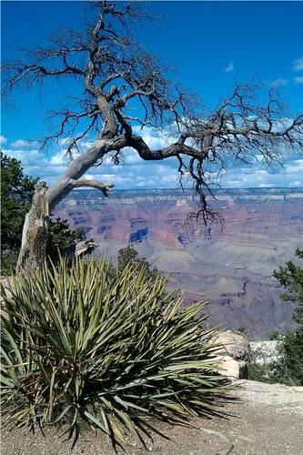 photographer Bitten by the Bug landscape  photo