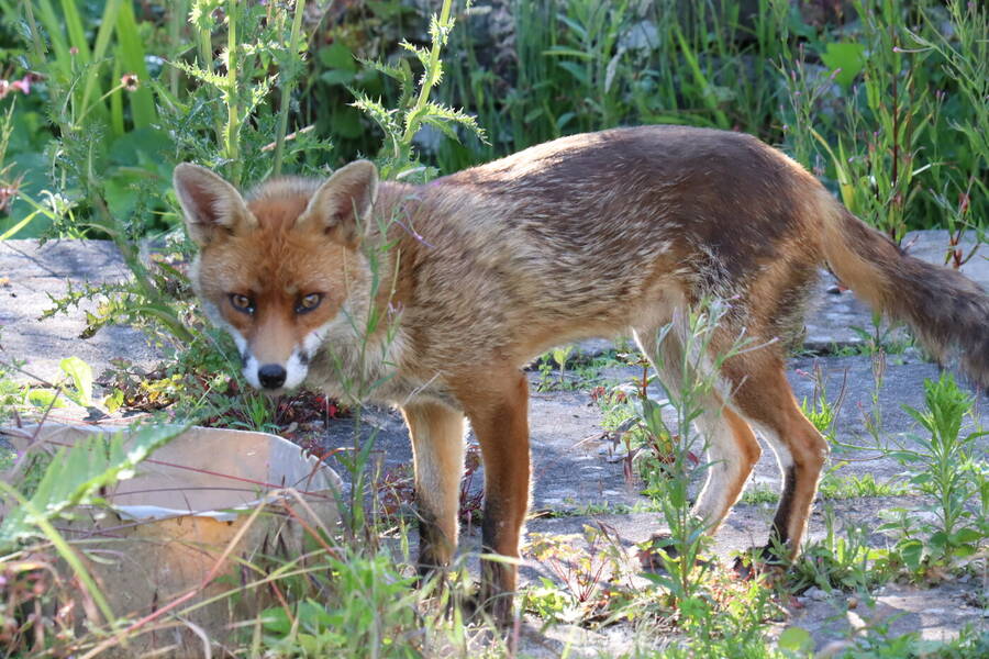 photographer Sussex Amateur uncategorized  photo taken at @Sussex_Amateur