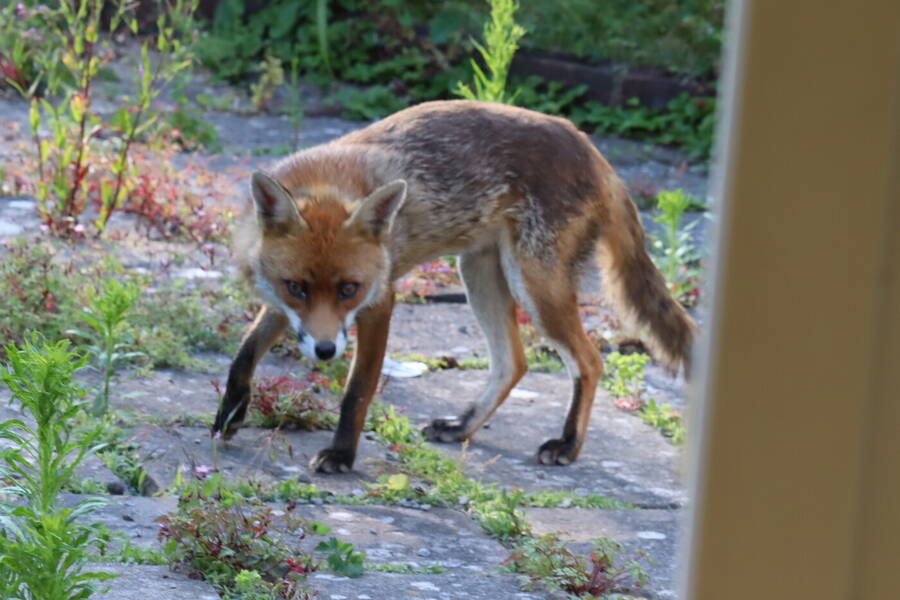photographer Sussex Amateur uncategorized  photo taken at @Sussex_Amateur