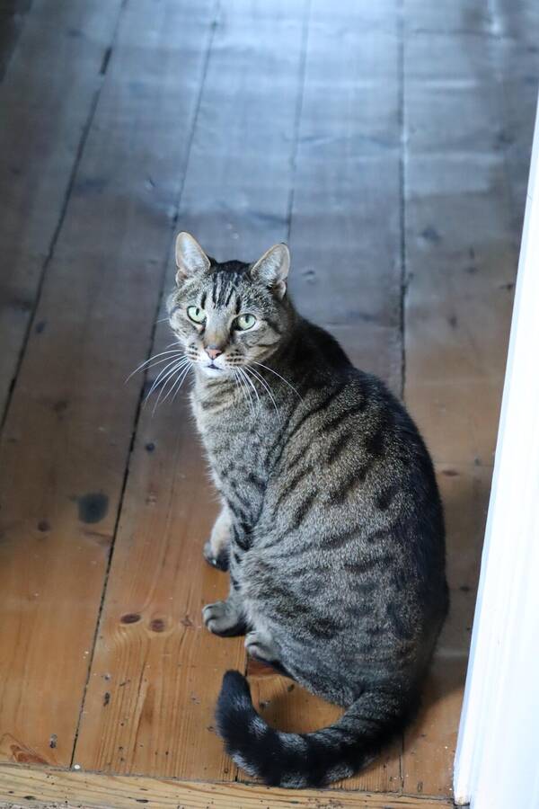 photographer Sussex Amateur wildlife  photo taken at @Sussex_Amateur