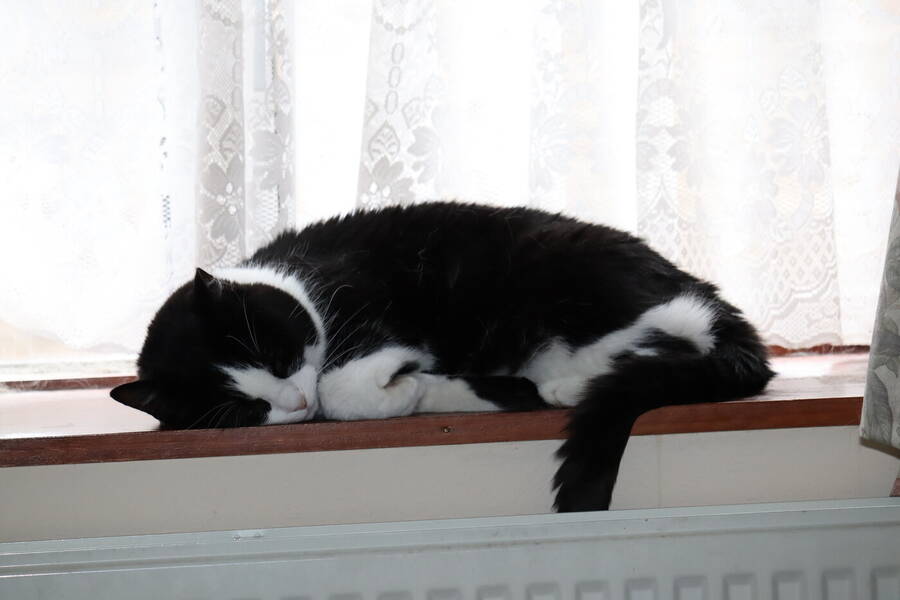 photographer Sussex Amateur wildlife  photo taken at @Sussex_Amateur