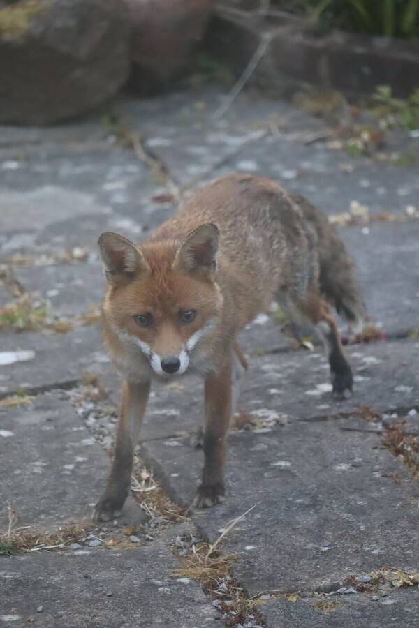 photographer Sussex Amateur uncategorized  photo taken at @Sussex_Amateur