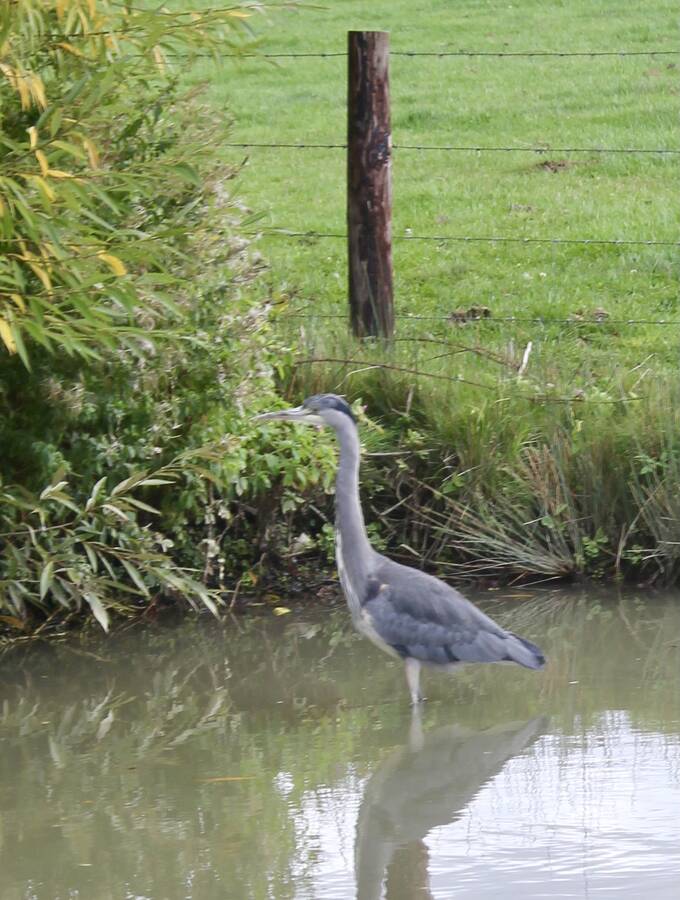 photographer Diversmatehotmailcom uncategorized  photo