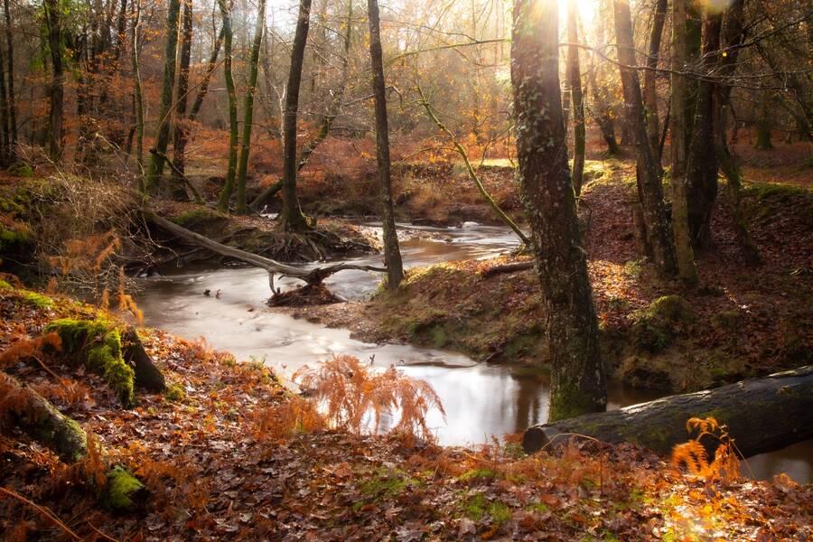 photographer Mark landscape  photo