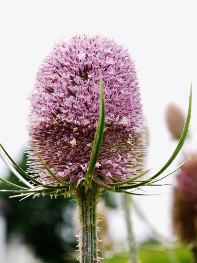 photographer Martin330 landscape  photo