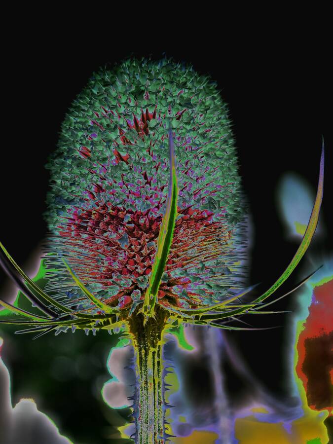 photographer Martin330 landscape  photo