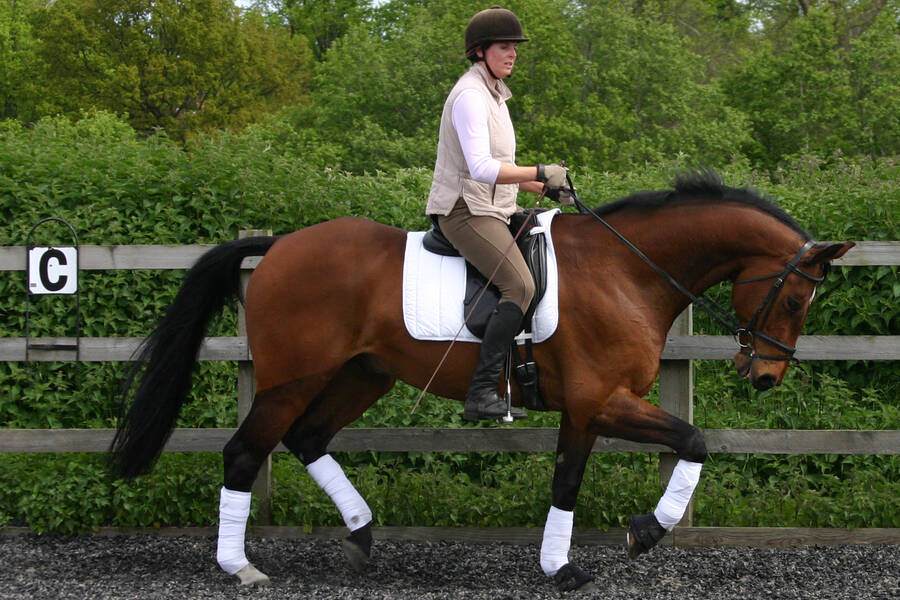 photographer studio27 sports  photo