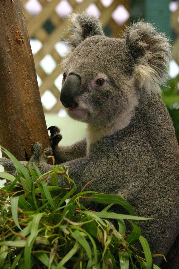 photographer studio27 sports  photo