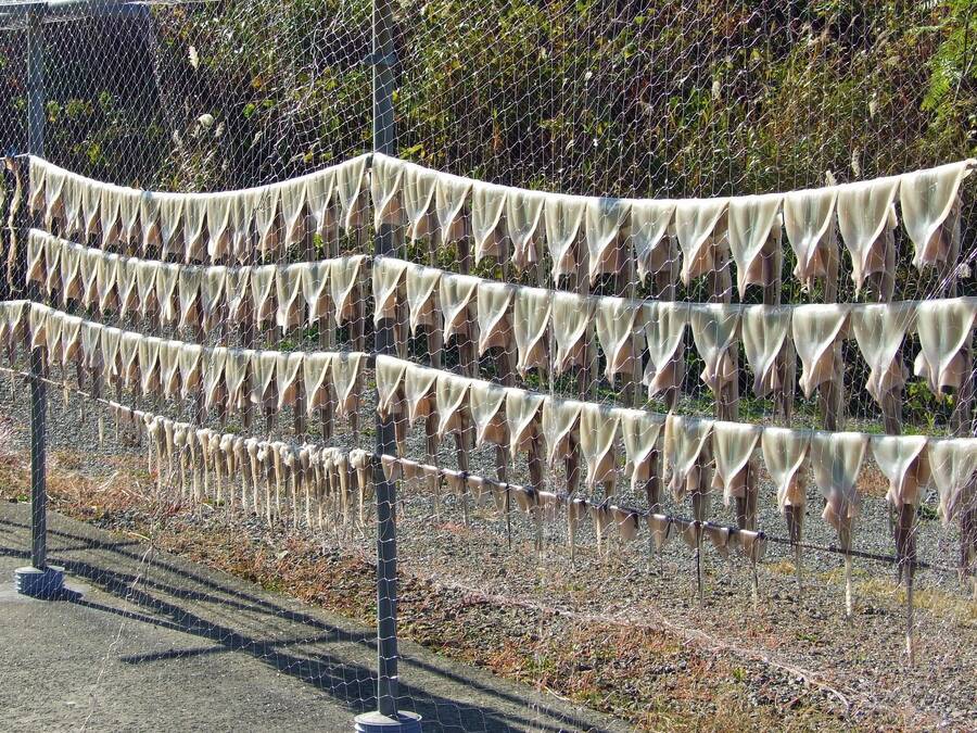 photographer BONDVIDAGE food  photo taken at Japan