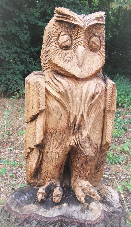 photographer BONDVIDAGE wildlife  photo taken at Pontefract