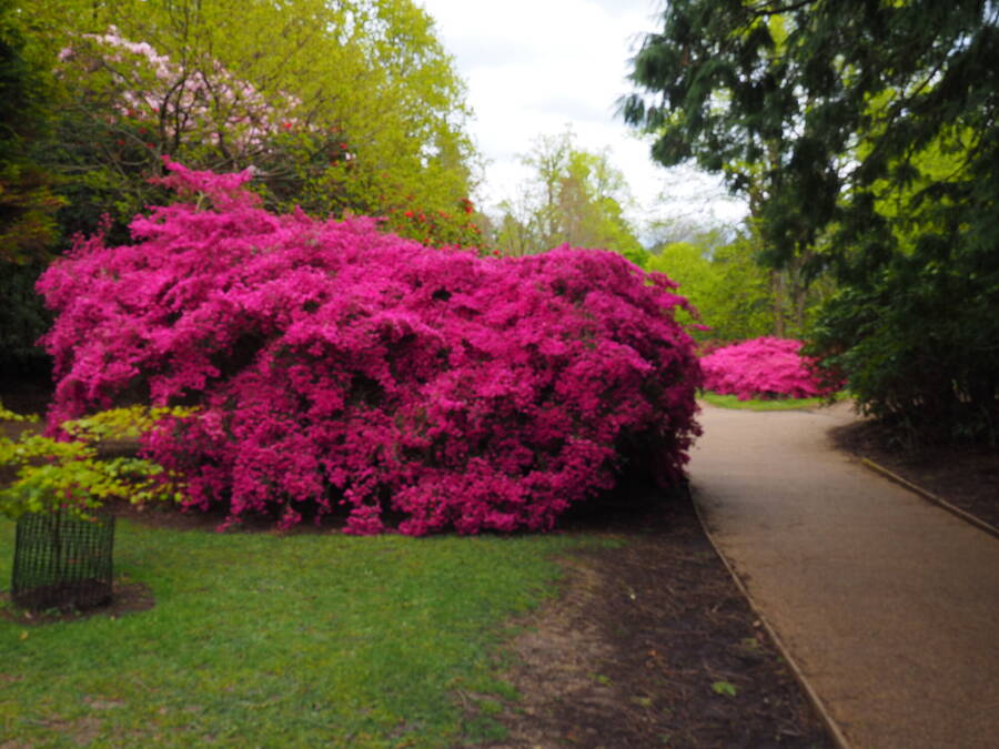 photographer Rosewood  Pix landscape  photo