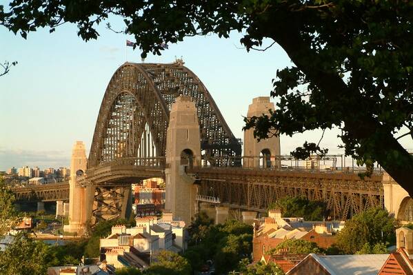 photographer Bitten by the Bug travel  photo taken at Sydney, NSW, Australia