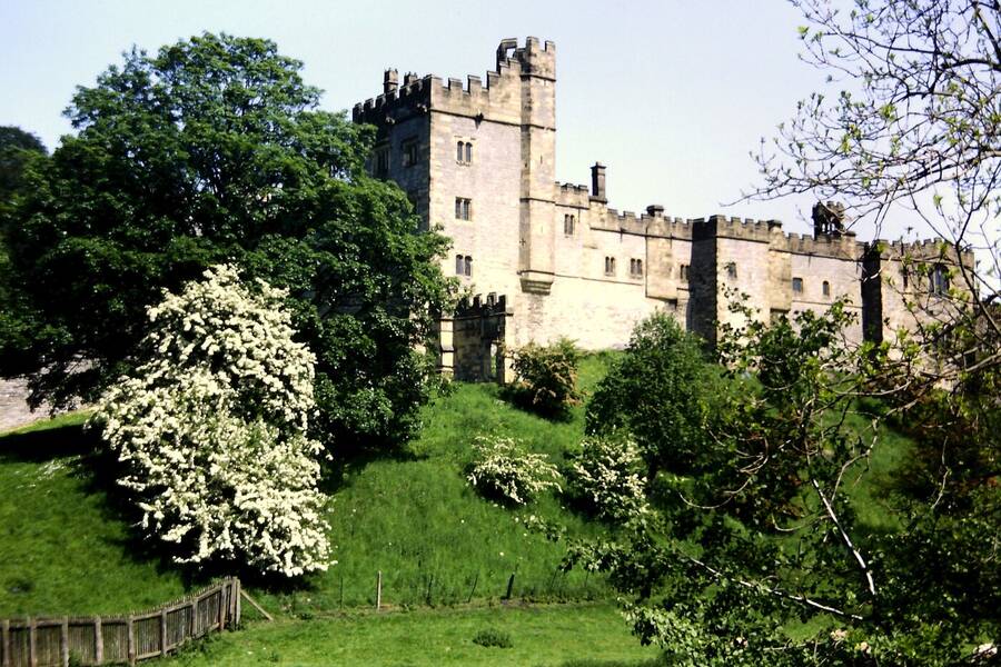 photographer Dave Wells uncategorized  photo