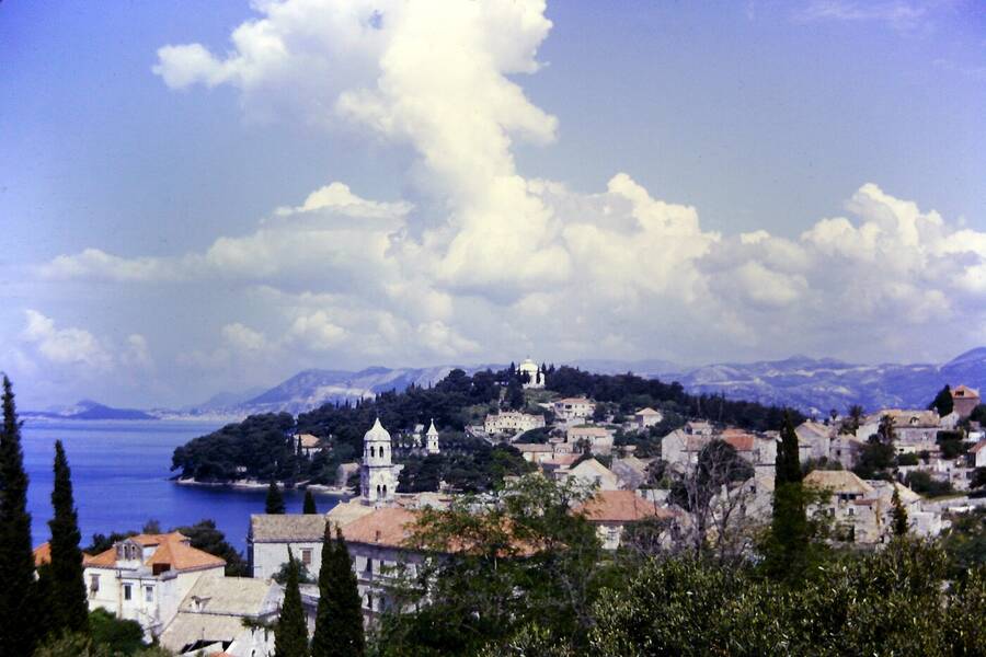 photographer Dave Wells uncategorized  photo