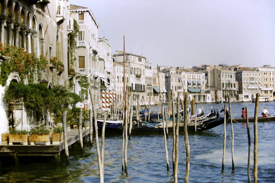 photographer Dave Wells uncategorized  photo