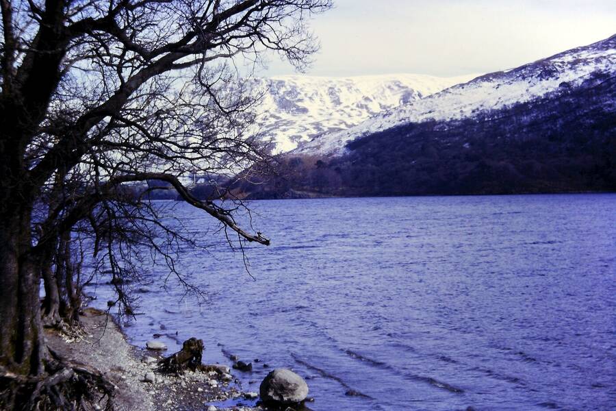 photographer Dave Wells uncategorized  photo