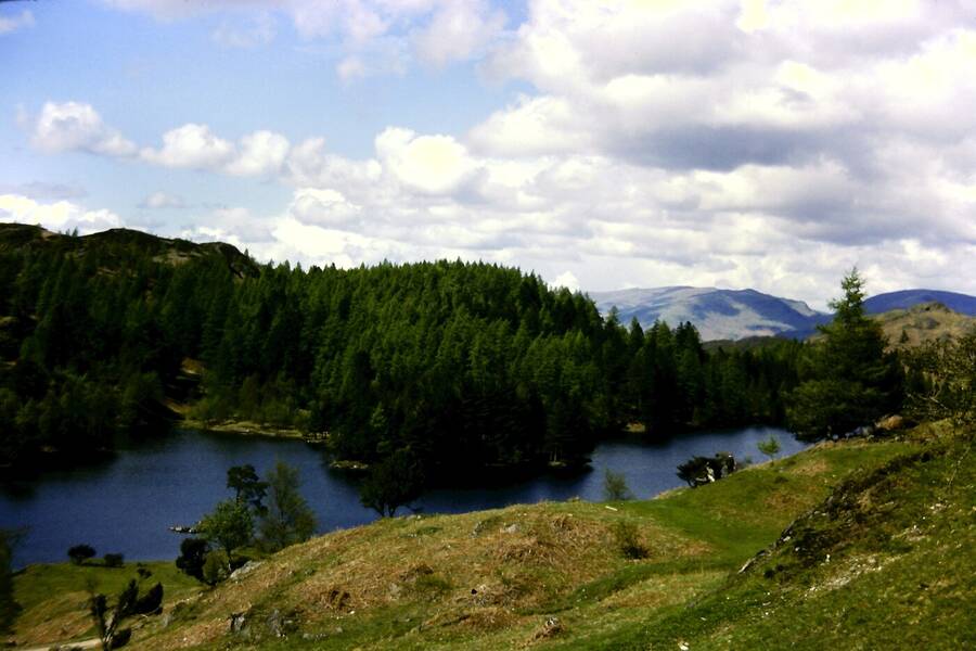 photographer Dave Wells uncategorized  photo