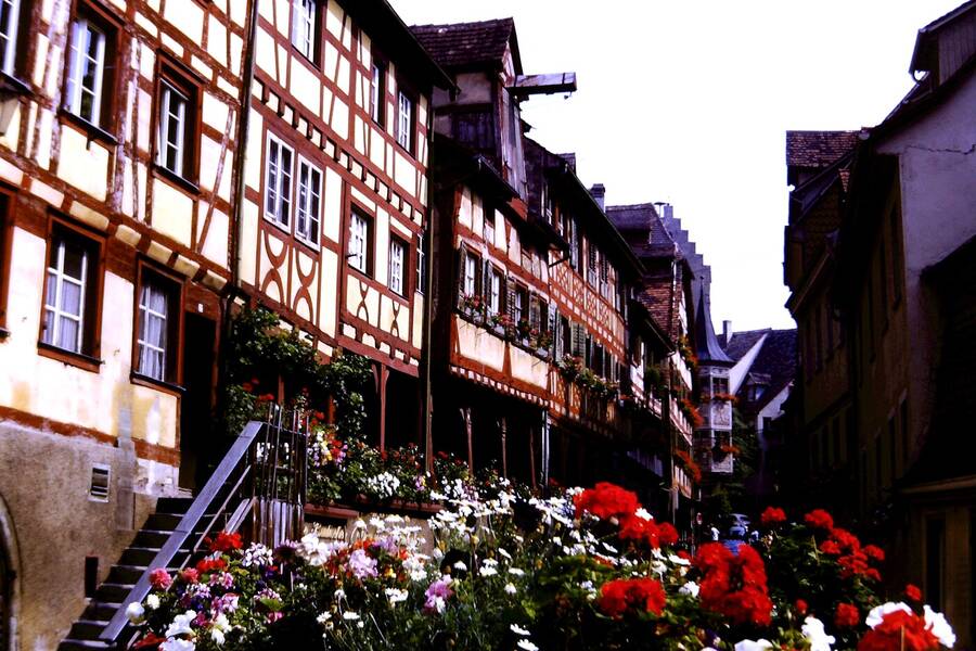 photographer Dave Wells uncategorized  photo