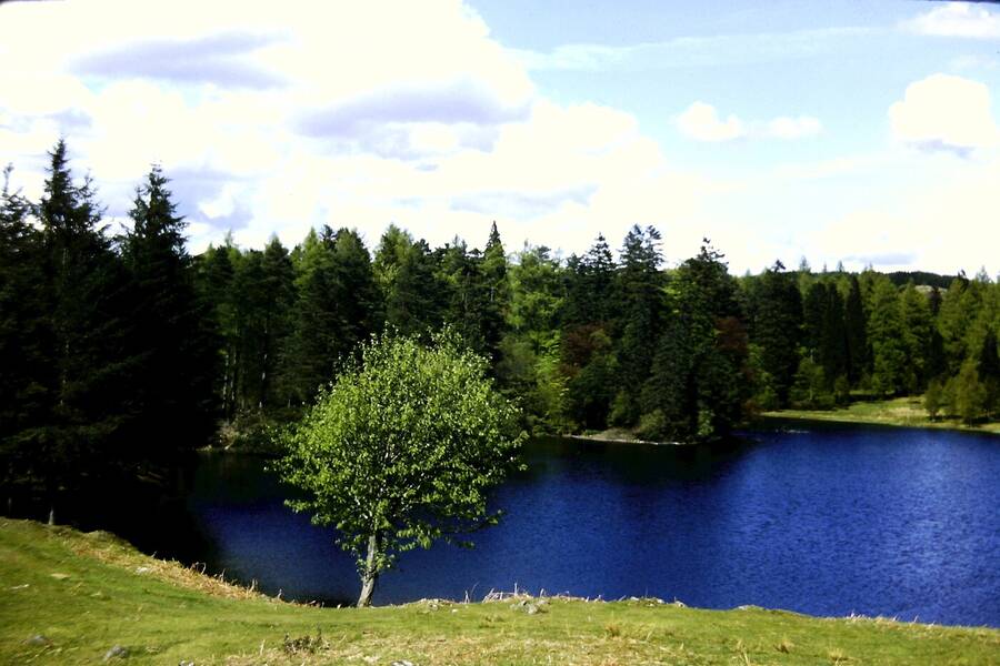 photographer Dave Wells uncategorized  photo