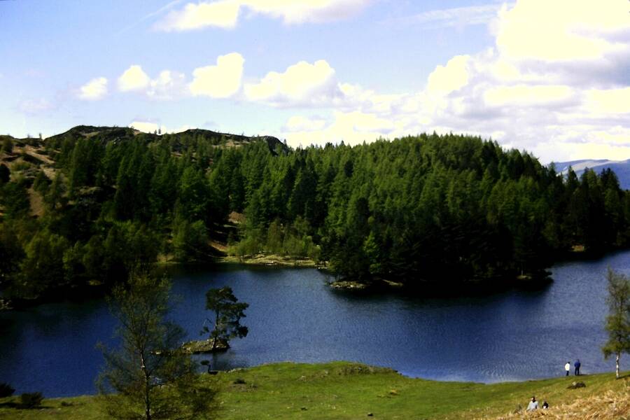 photographer Dave Wells uncategorized  photo