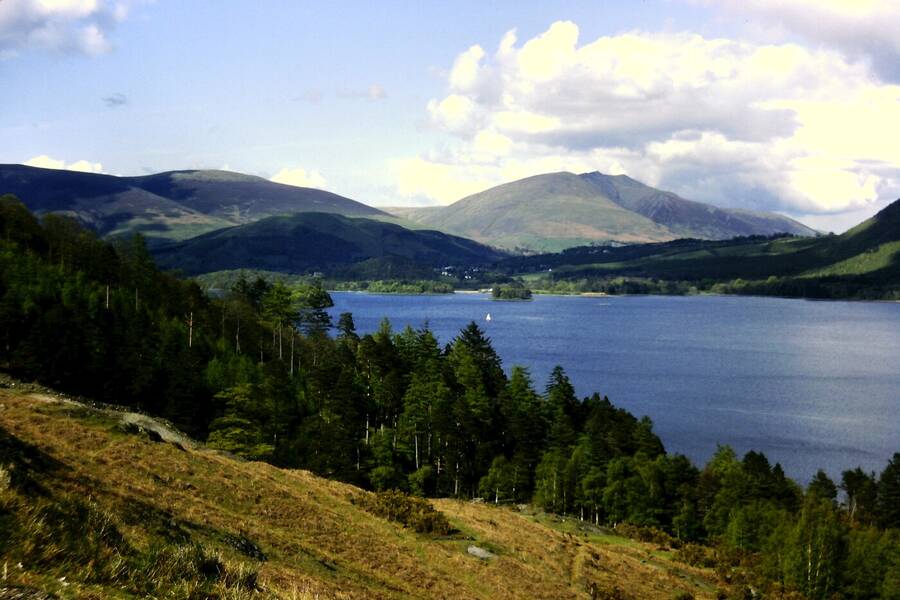 photographer Dave Wells uncategorized  photo