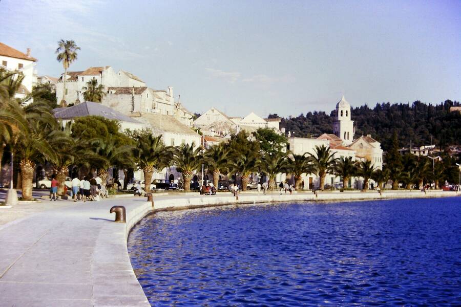 photographer Dave Wells uncategorized  photo