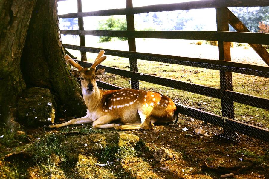 photographer Dave Wells uncategorized  photo