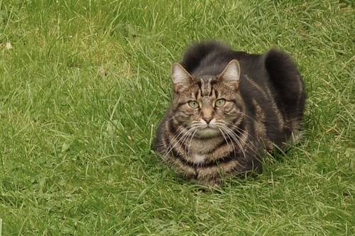 photographer Fotochawes uncategorized  photo