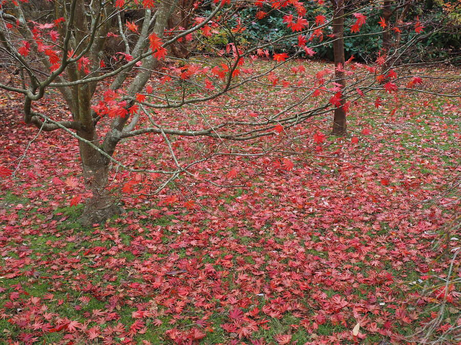 photographer Rosewood  Pix landscape  photo