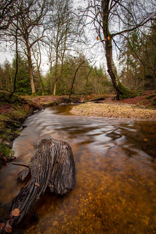 photographer Mark landscape  photo