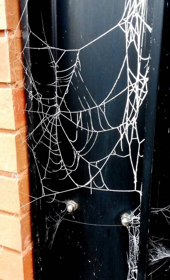 photographer DamoTogYP fine art  photo