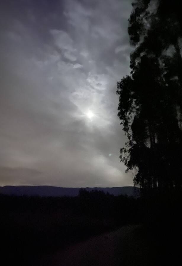 photographer dgregdenton night  photo taken at Vale das Ripas, Alcobaça, Portugal