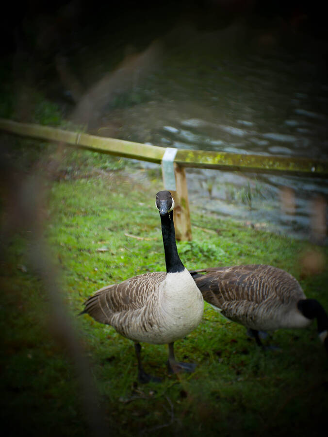 photographer CRAZYWIECHU portraiture  photo