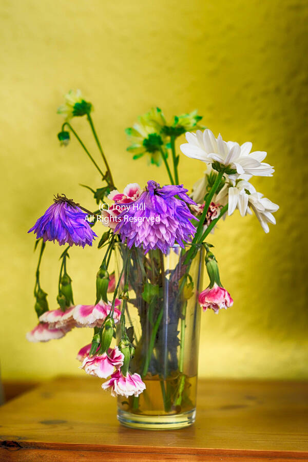 photographer TonyHill still life  photo