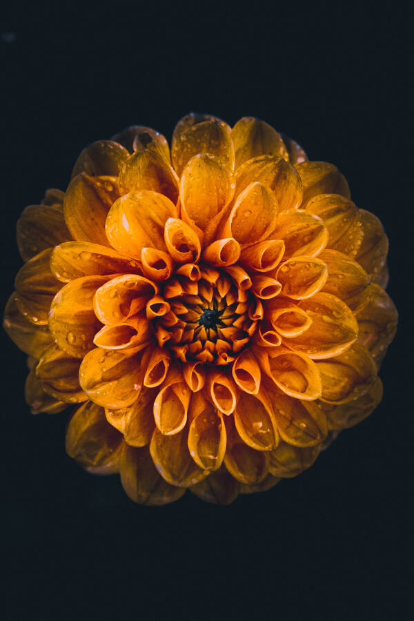 photographer Gabriel Burns abstract  photo