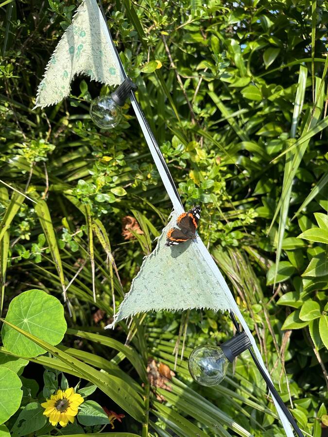 photographer Hippocrocafrog uncategorized  photo