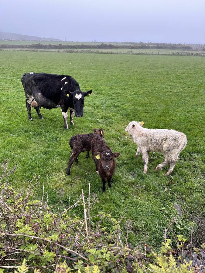 photographer Hippocrocafrog uncategorized  photo