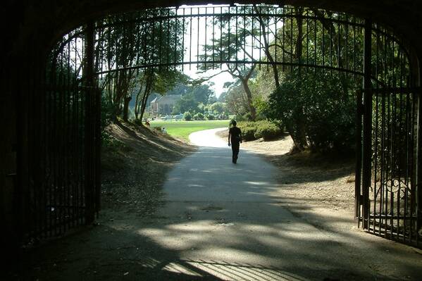 photographer Bitten by the Bug travel  photo taken at San Francisco, CA, USA